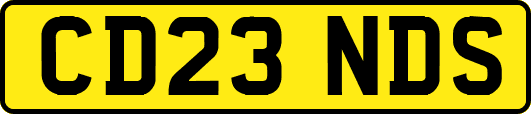 CD23NDS