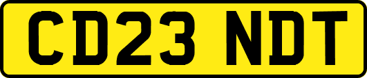 CD23NDT