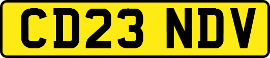 CD23NDV