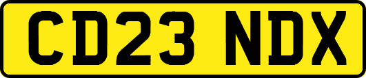 CD23NDX