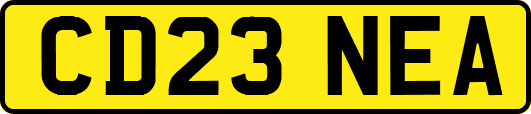 CD23NEA