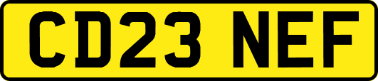 CD23NEF