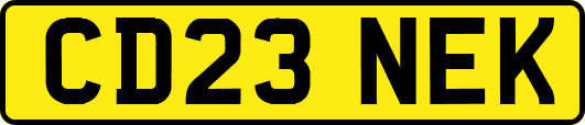 CD23NEK