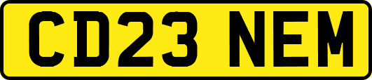 CD23NEM