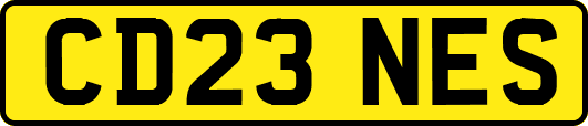 CD23NES