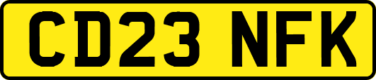CD23NFK