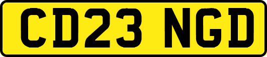 CD23NGD