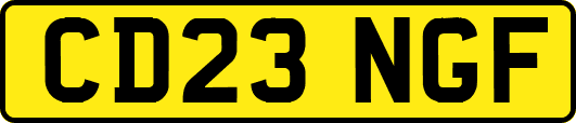 CD23NGF