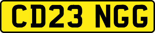 CD23NGG