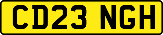 CD23NGH