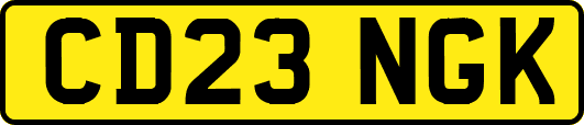 CD23NGK