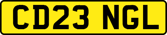 CD23NGL