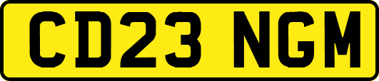 CD23NGM