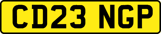 CD23NGP