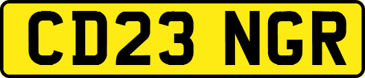 CD23NGR