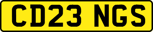 CD23NGS