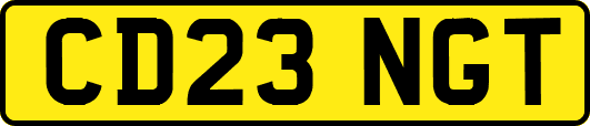 CD23NGT