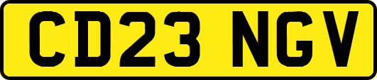 CD23NGV