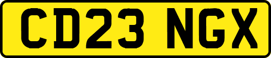 CD23NGX