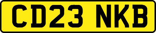CD23NKB