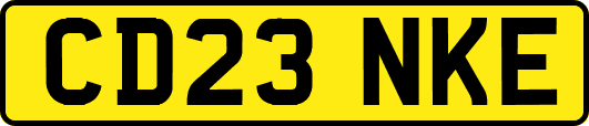CD23NKE