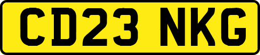 CD23NKG