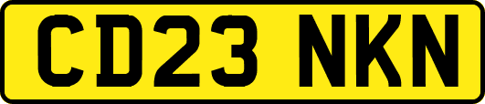 CD23NKN