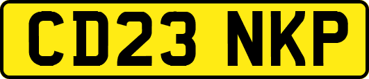 CD23NKP