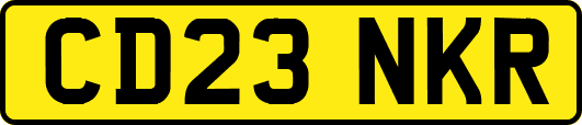 CD23NKR