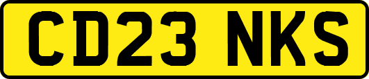 CD23NKS