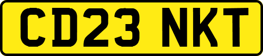 CD23NKT