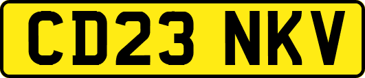 CD23NKV