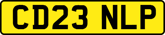 CD23NLP
