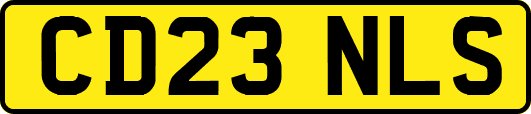 CD23NLS