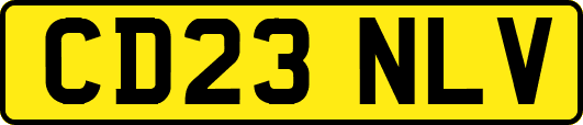 CD23NLV