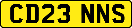 CD23NNS