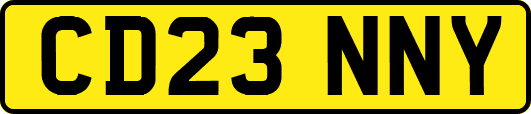 CD23NNY