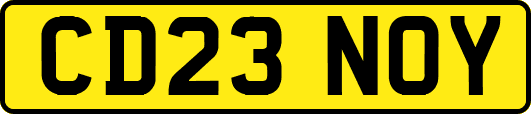 CD23NOY