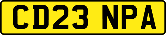CD23NPA