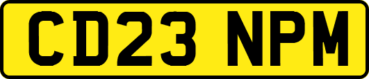 CD23NPM
