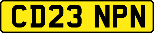 CD23NPN