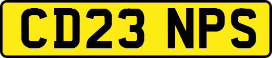 CD23NPS