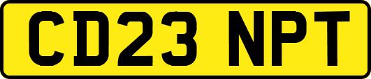 CD23NPT