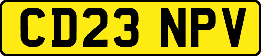 CD23NPV