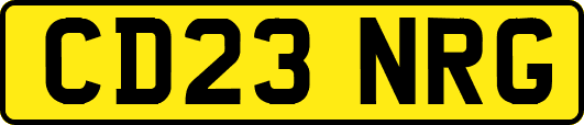 CD23NRG