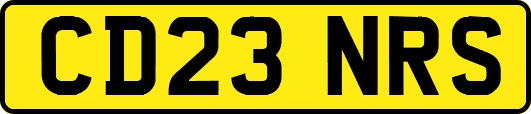 CD23NRS