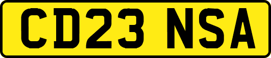 CD23NSA