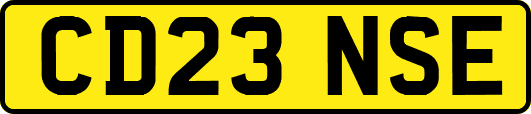 CD23NSE