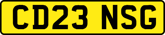 CD23NSG