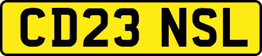 CD23NSL